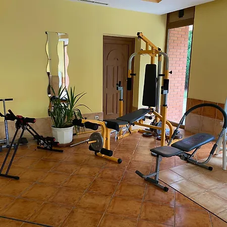 Dorina Wellness דירה שיופוק